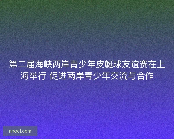 第二届海峡两岸青少年皮艇球友谊赛在上海举行 促进两岸青少年交流与合作